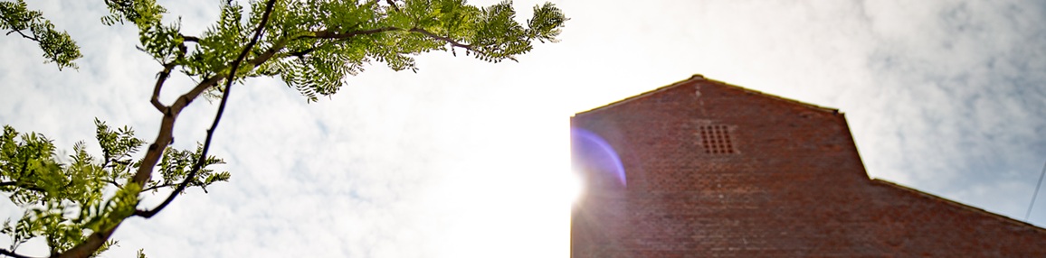 View of a building in the University City with a glimpse of the sun behind it and a tree in front
